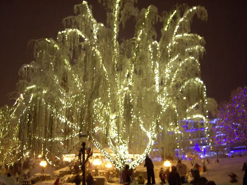 Christmas Tree Lighting Weekend Dec 2010-Fireworks Tree - panoramio