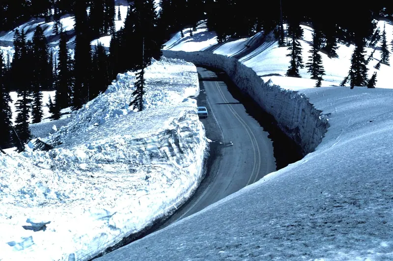 Car driving on Highway 410 between high snowbanks at Mount Rainier