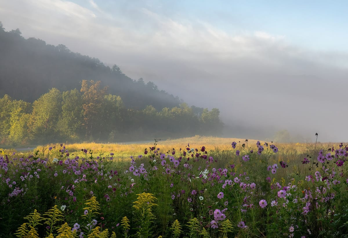 Meadow and hazy ridges in the Great Smoky Mountains