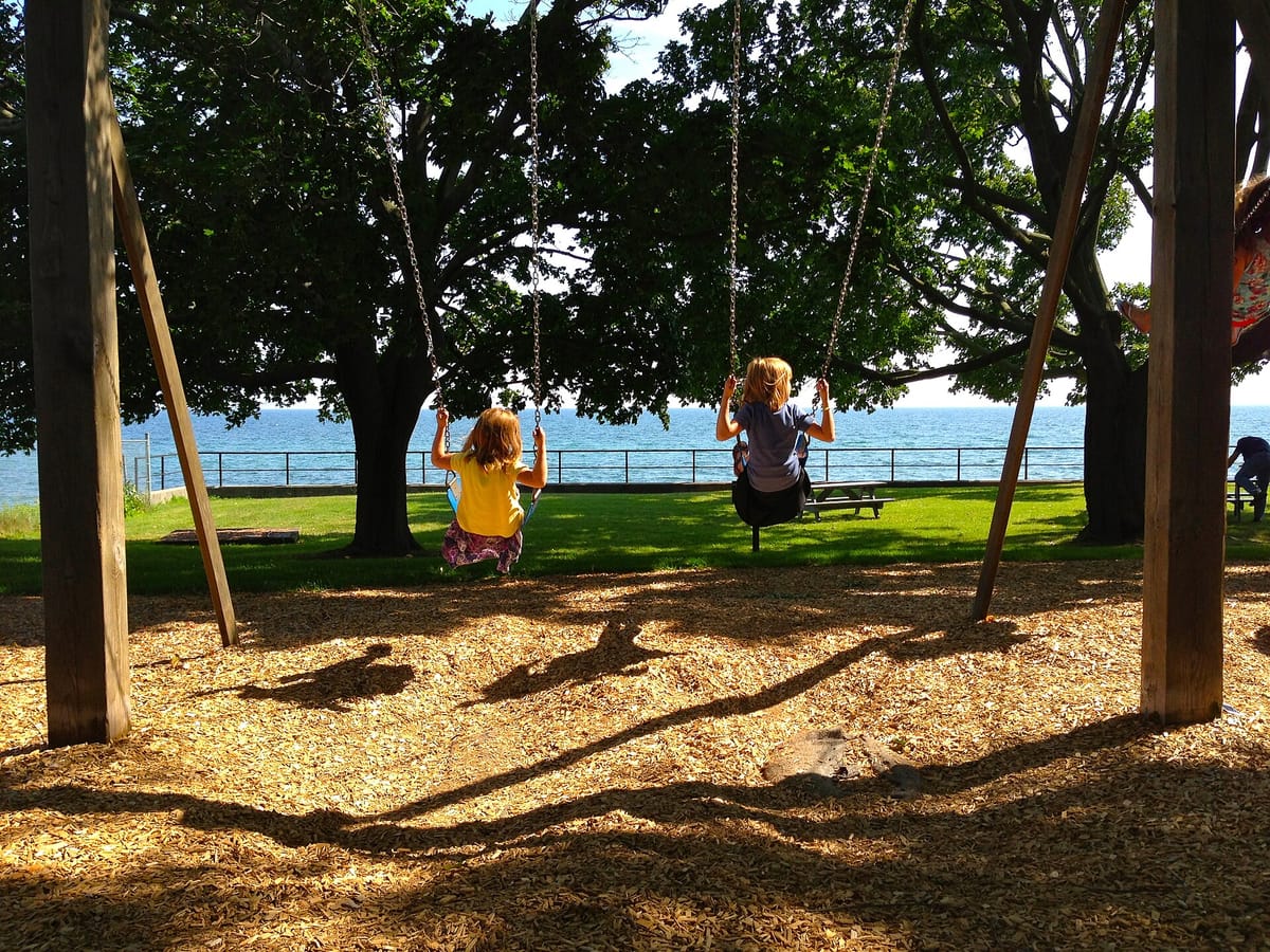Swings in a park playground