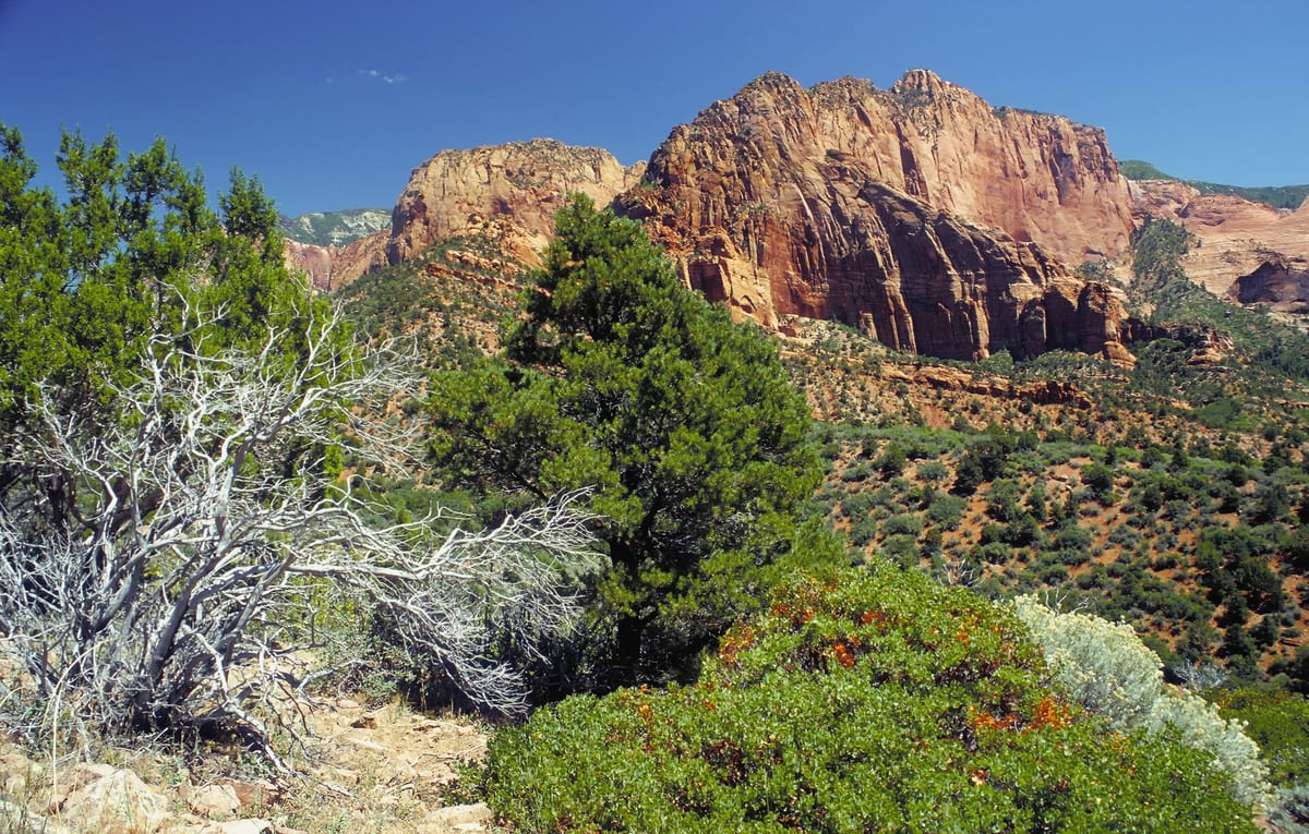 Kolob Canyons part of Zion National Park